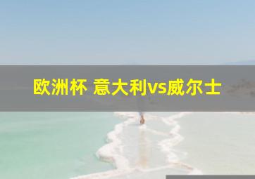 欧洲杯 意大利vs威尔士